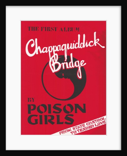 Poison Girls Poster by Rokpool